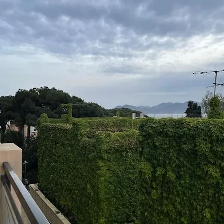T2 Lumineux A Pied Terrasse Piscine Cannes